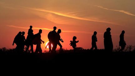  (De très nombreux migrants continuent à franchir la frontière entre la Serbie et la Hongrie © REUTERS / Bernadett Szabo)