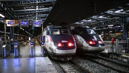 Deux TGV à la Gare de l'Est à Paris, le 23 décembre 2019.&nbsp; (STEPHANE DE SAKUTIN / AFP)