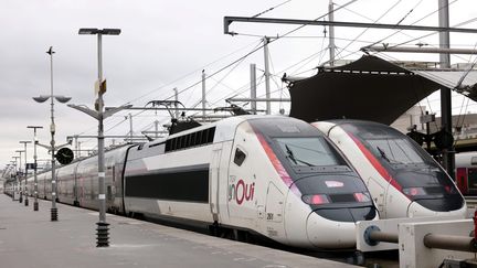 Des TGV à quai à la Gare de Lyon à Paris. (photo d'illustration) (DELPHINE GOLDSZTEJN / MAXPPP)