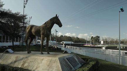 La course mythique fêtera ses 100 ans, dimanche 26 janvier, à l'hippodrome de Vincennes dans le Val-de-Marne. (FRANCE 2)