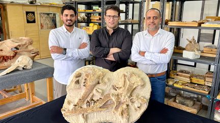 Une équipe de paléontologistes de l'Université américaine du Caire prend la pause devant les ossements de la baleine basilosauridae découverte en Egypte. (AFP PHOTO / HO / AMERICAN UNIVERSITY IN CAIRO (AUC))