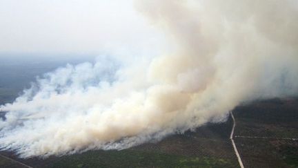 Comme chaque année pendant la saison sèche, l’Indonésie est ravagée par des incendies de forêts et de terres agricoles provoqués par la culture sur brûlis.  (STR / AFP)