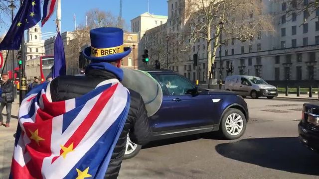 Steve Bray devant Downing Street