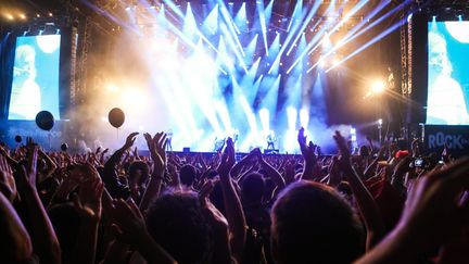 Au festival Rock en Seine le 25 juillet 2017. (LUCAS BARIOULET / LE PARISIEN / MAXPPP)