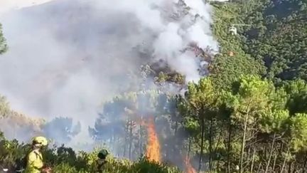 Espagne : 2 000 personnes évacuées à cause d'un violent incendie (FRANCE 2)