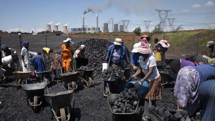 Des Sud-Africaines récupèrent le charbon à proximité d'une centrale thermique. (AFP/Marco Longari)