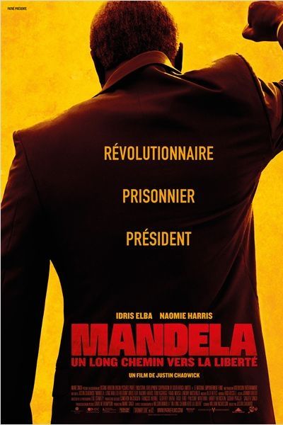 L'affiche de "Mandela : Un long chemin vers la liberté" de Justin Chadwick
 (Pathé Distribution)