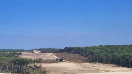 Incendies en Gironde : les feux en passe d'être maîtrisés ?