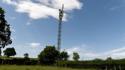 Une antenne relais installée à Montagny (Rhône-Alpes), le 18 juin 2021. Photo d'ilustration. (YVES SALVAT / MAXPPP)