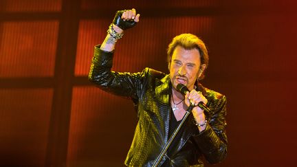 Johnny Hallyday à Bordeaux en juin 2013. 
 (NICOLAS TUCAT / AFP)