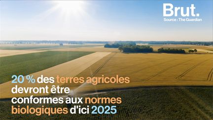 Certaines informations prouvent que notre impact sur l'environnement peut être freiné. Voici quelques exemples.&nbsp; (BRUT)