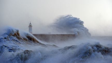 Les vagues prennent une couleur bleu quand la lumière change. (GLYN KIRK / AFP)