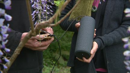 Grâce à ce boitier qui transcode les signaux électriques en notes de musique, on peut entendre les plantes "chanter". Bluffant ! (P. Turpaud / France 3)