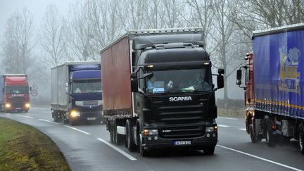 Des camions circulent sur sur la Rcea (Route centre-Europe Atlantique) dans l'Allier. (THIERRY ZOCCOLAN / AFP)