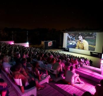 Au cinéma de verdure, des toiles à la belle étoile
 (DR)