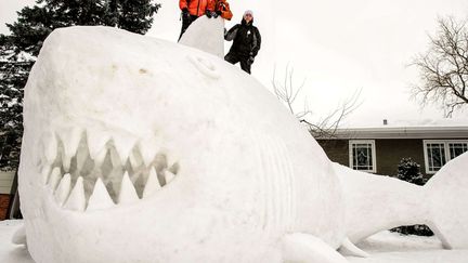 Trois fr&egrave;res posent sur la "baleine de neige" haute de pr&egrave;s de cinq m&egrave;tres qu'ils ont construite dans le jardin de leur maison &agrave; New Brighton (Minnesota, Etats-Unis), le 1er janvier 2014. (SIPA)