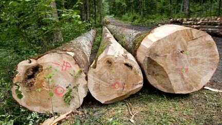 Des arbres abattus dans la forêt de la Joux, à Supt (Jura), le 25 avril 2018. (PHILIPPE ROY / AFP)