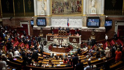 L'hémicycle de l'Assemblée Nationale. (JULIEN DE ROSA / AFP)