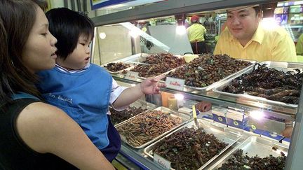 L’on trouve des insectes tout au long de l’année dans le commerce. Mais comme les végétaux, la récolte varie en fonction des saisons.
 
Dans le nord-est de la Thaïlande, elle a lieu pendant la saison des pluies, de mai à juillet.  Le nombre des espèces diminue progressivement d'août à avril.
 
D’avril à juin, ce sont principalement des fourmis et des termites qu’on trouve en grand nombre. (  REUTERS)