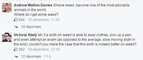 Capture d'écran des commentaires sur la page Facebook de la campagne australienne contre le cannabis, "Tu es pire quand tu fumes". (YOU'RE WORSE ON WEED / FACEBOOK)