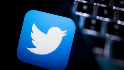 Twitter annonce, le&nbsp;18 août 2016, avoir suspendu 235 000 comptes&nbsp;faisant la promotion du terrorisme en six mois. (JAAP ARRIENS / NURPHOTO / AFP)