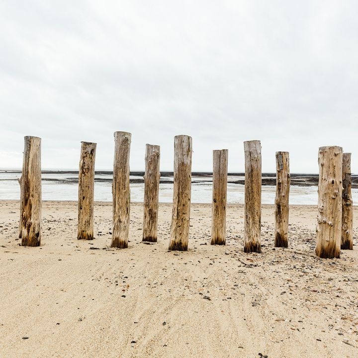 Des poteaux de bois pour casser les vagues et protéger la côte, le 11 mars 2020 à Agon-Coutainville (Manche). (PIERRE MOREL / FRANCEINFO)