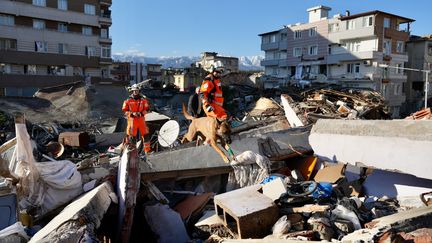 Des secouristes suisses accompagnés d'un chien renifleur recherchent des survivants après le séisme qui a frappé le sud de la Turquie, à Antioche, le 9 février 2023. (MICHAEL FICHTER / FDFA)