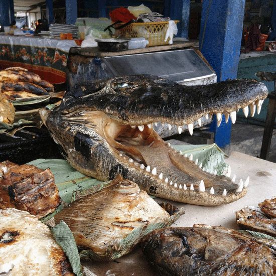 Le crocodile est un mets prisé, vendu à la découpe sur les étals d'Iquitos. (LUISA DORR/ GEO)