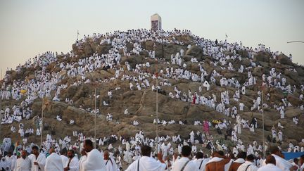 VIDEO. Arabie saoudite : les pèlerins affluent sur le Mont Arafat, moment fort du hajj