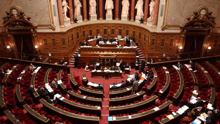 Vue de l'h&eacute;micycle du S&eacute;nat, &agrave; Paris, le 11 f&eacute;vrier 2004. (ERIC FEFERBERG / AFP)