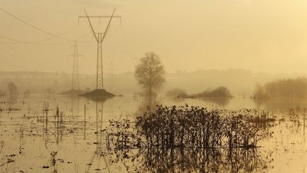 Champs inond&eacute;s pr&egrave;s du village de Bogolyubovo (Russie), le 26 avril 2012. (DENIS SINYAKOV / REUTERS)