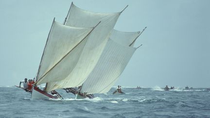 La traditionnelle course de yoles en Martinique. (Illustration) (GETTY IMAGES / PHOTOGRAPHER'S CHOICE RF)