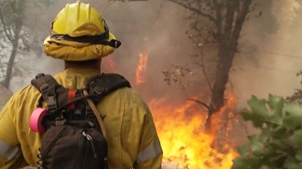 En Californie (États-Unis), des incendies dévastent les forêts. Plus de 20 000 hectares sont partis en fumée. Les flammes s’approchent des villes, l’état d’urgence a été déclaré.