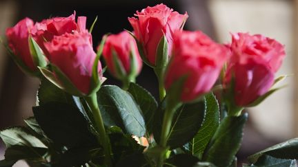 Lyon, capitale de la rose le temps d'un week-end