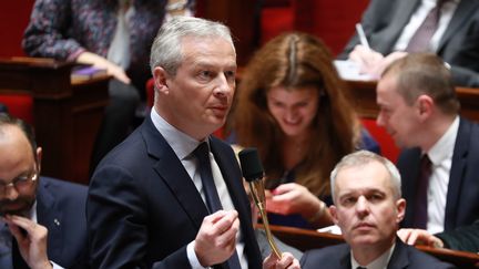 Bruno Le Maire, le 5 mars 2019 à l'Assemblée nationale.&nbsp; (JACQUES DEMARTHON / AFP)