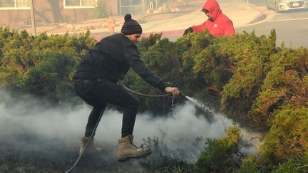 A Sylmar, au nord de Los Angeles, des habitants menacés par l'avancée de l'incendie "Creek" tentaient d'éteindre des points chauds départs de feu dans les broussailles, le 5 décembre 2017. (GENE BLEVINS / REUTERS)