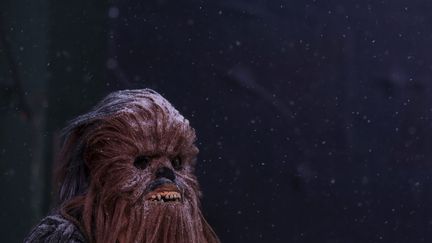 A homme déguisé en Chewbacca à Manhattan (Etats-Unis), le 22 janvier 2016. (CARLO ALLEGRI / REUTERS)