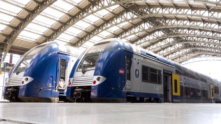 Des TER à la gare de Lille-Flandres, dans le Nord, le 13 juin 2014. (PHILIPPE HUGUEN / AFP)