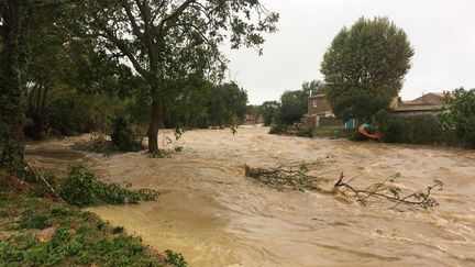 Les violentes intempéries ont entraîné une crue à&nbsp;Villegailhenc, près de Carcassonne (Aude), lundi 15 octobre. (ERIC CABANIS / AFP)