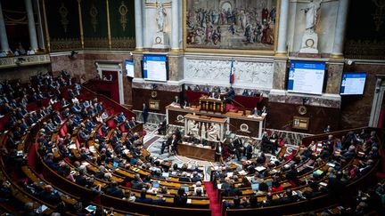 Les députés siègent à l'Assemblée nationale, à Paris, le 8 octobre 2024. (XOSE BOUZAS / HANS LUCAS)