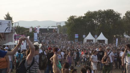 Le publis des Eurockéennes de Belfort, le 2 juillet 2018. (EVA SAKELLARIDES / EVA SAKELLARIDES)