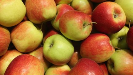 Des pesticides en abondance dans les pommes ?