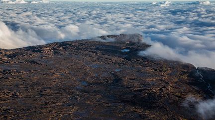 ... (Yann Arthus-Bertrand)