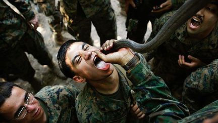 Le 20 février 2013, sur une base militaire de la jungle thaïlandaise, dans la province de Chonburi à l’est du pays, un marine américain boit le sang d'un cobra, lors d'un exercice de survie, dans le cadre des opérations annuelles appelées «Cobra Gold». (REUTERS/Damir Sagolj)