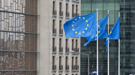 Drapeaux européens à Bruxelles (Belgique) le 14 mars 2020 (NICOLAS LANDEMARD / LE PICTORIUM / MAXPPP)