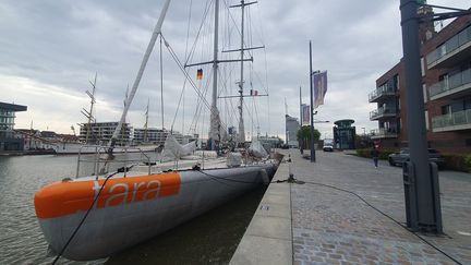 Le voilier scientifique Tara amarré dans le port de Bremerhaven en Allemagne. (BORIS HALLIER / RADIO FRANCE)