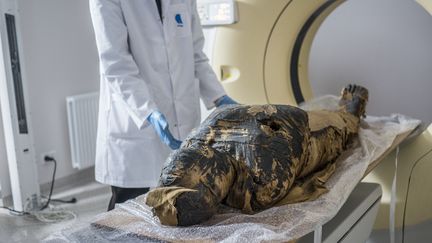 Il s'agit de la première momie enceinte jamais découverte. (ALEKSANDER LEYDO / WARSAW MUMMY PROJECT)