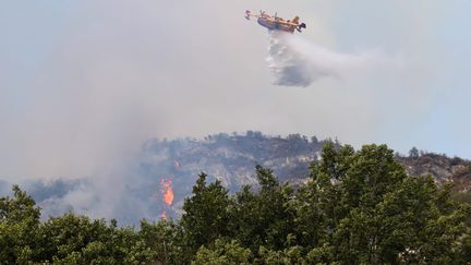 Un Canadair en action sur la commune de Voreppe en Isère, le 7 août 2022. (FABRICE HEBRARD / MAXPPP)