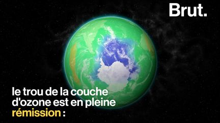 Ces 10 dernières années, de nombreuses initiatives mises en place par l'homme ont eu des effets salutaires pour la planète.