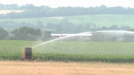 Agriculture : pour l'ingénieure agronome Estelle Le Guern, il faut "revoir les politiques publiques"